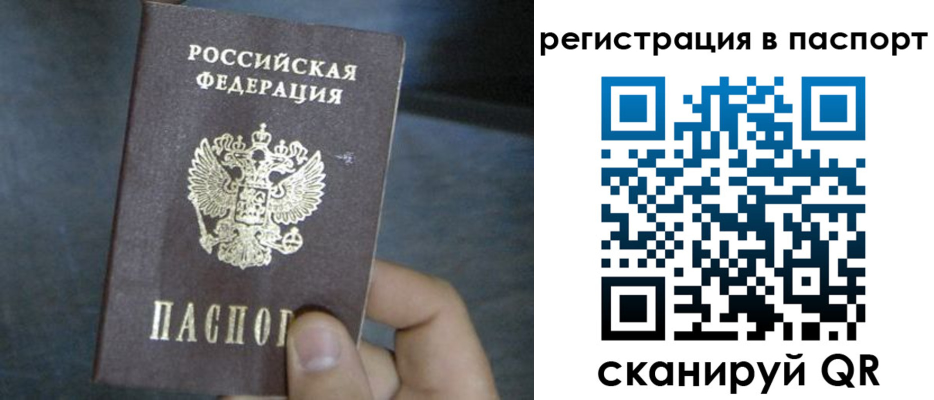 прописка 2025 в Лузе